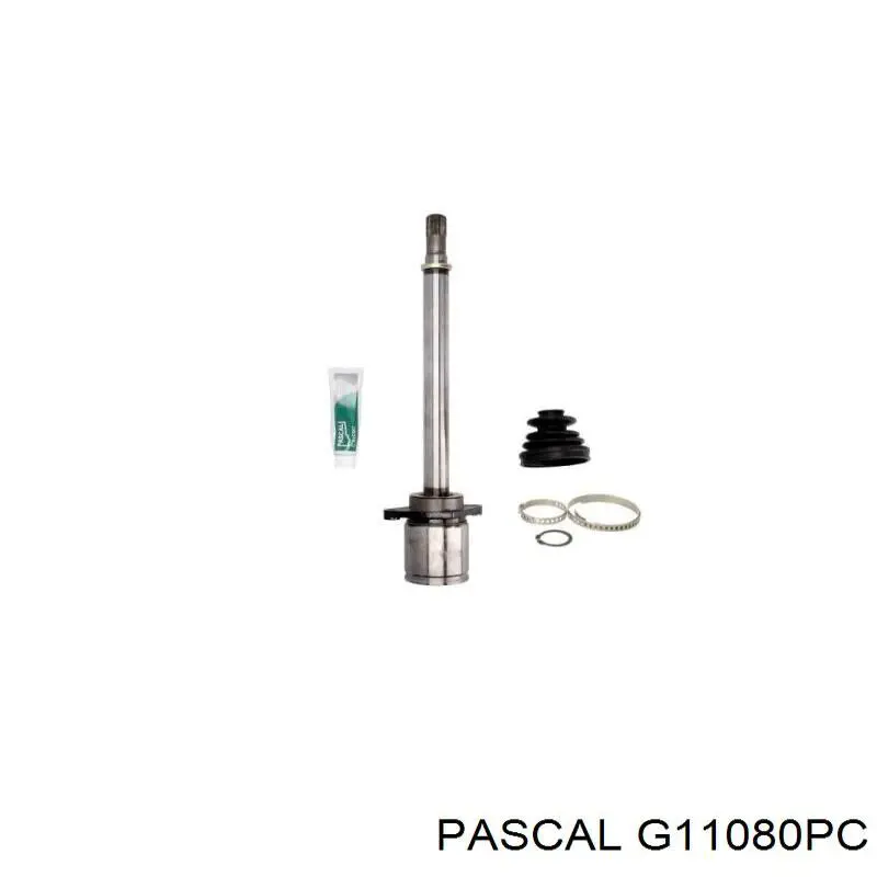 G11080PC Pascal шрус зовнішній передній