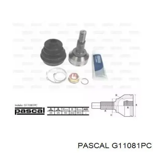 Купити G11081PC Pascal Шарнір приводу зовнішній
