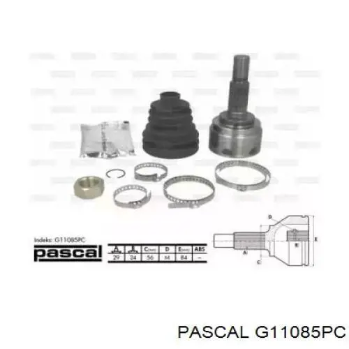  Pascal G11085PC