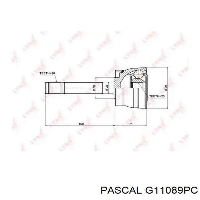 G11089PC Pascal Граната зовнішня