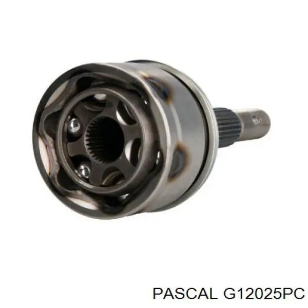 G12025PC Pascal шрус зовнішній передній