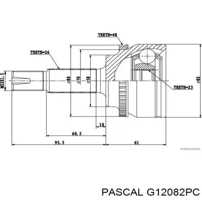 Купити G12082PC Pascal Шарнір приводу зовнішній