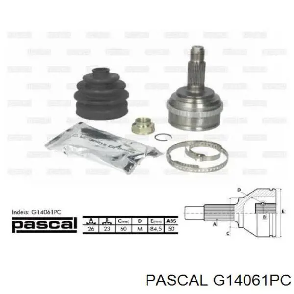  G14061PC Pascal