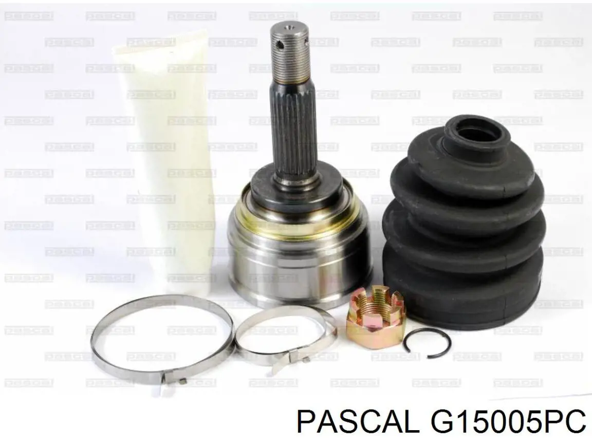 G15005PC Pascal шрус зовнішній передній