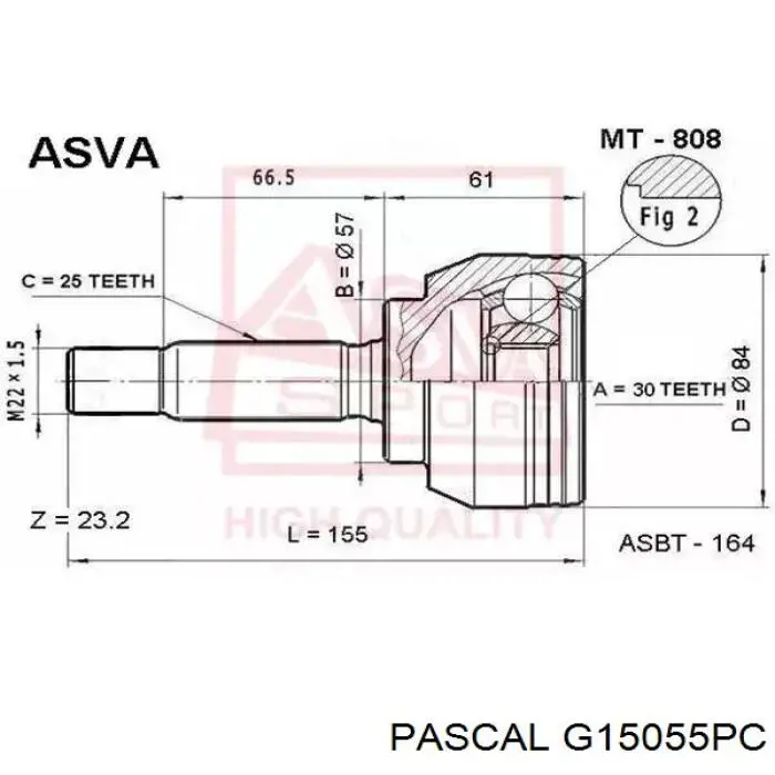G15055PC Pascal шрус зовнішній передній