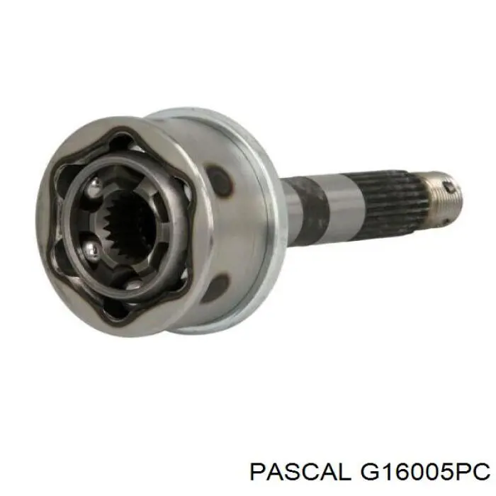  Pascal G16005PC ціна, від 18.13 USD