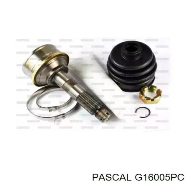 Купити G16005PC Pascal 