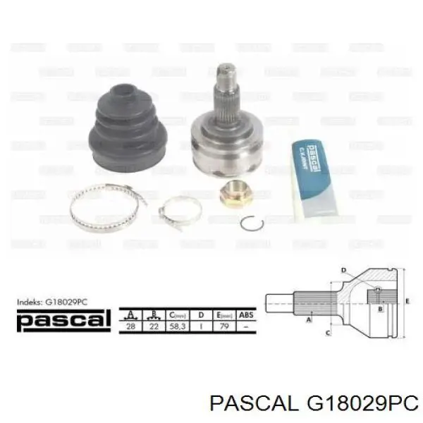 Купити G18029PC Pascal Шарнір приводу зовнішній
