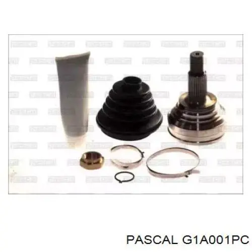 G1A001PC Pascal Граната зовнішня