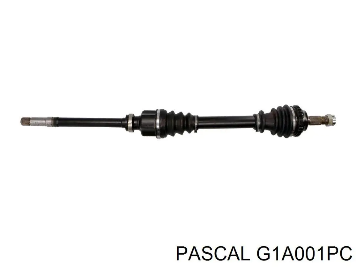Купити G1A001PC Pascal Шарнір приводу зовнішній