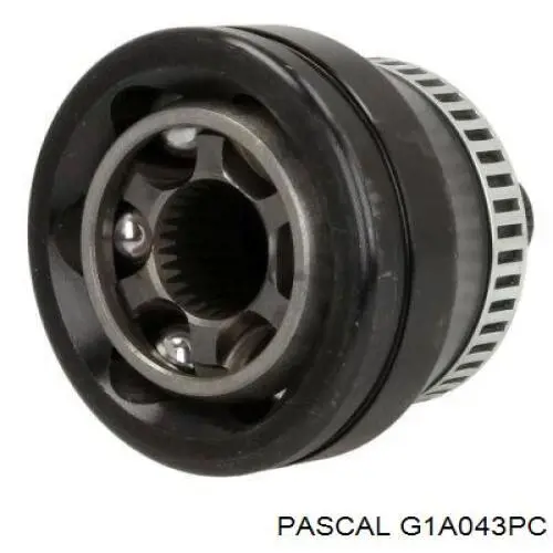 G1A043PC Pascal шрус зовнішній передній