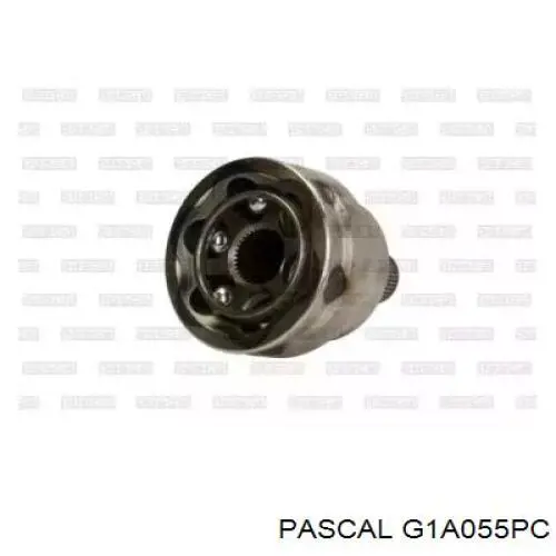 G1A055PC Pascal шрус зовнішній передній