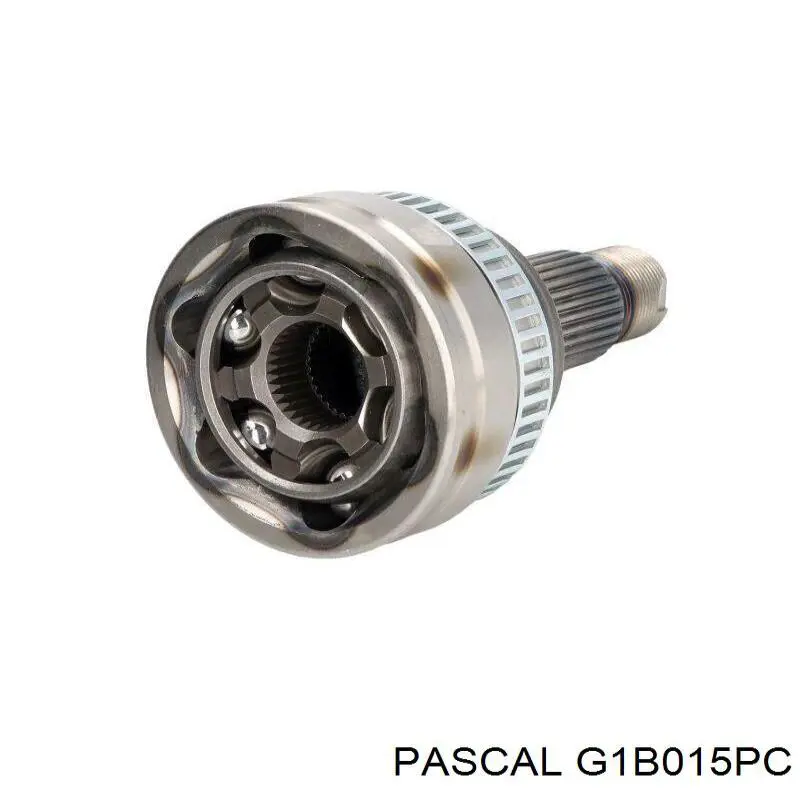  G1B015PC Pascal