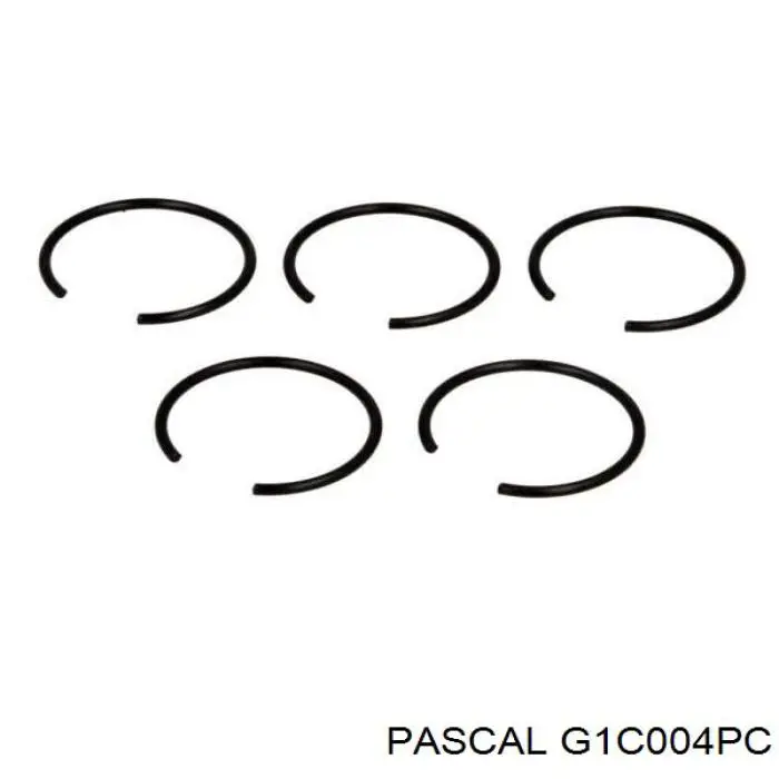 G1C004PC Pascal шрус зовнішній передній
