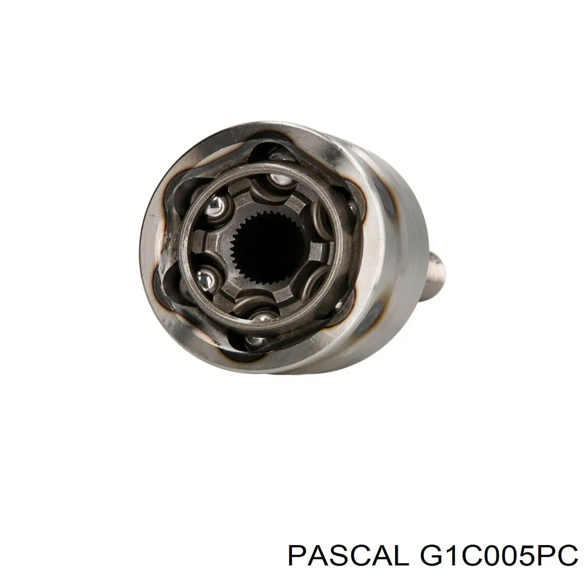 G1C005PC Pascal шрус зовнішній передній
