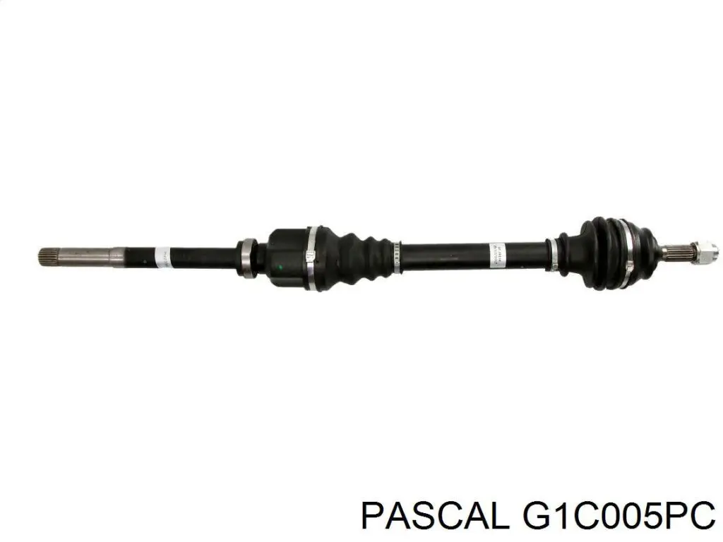 Купити G1C005PC Pascal Шарнір приводу зовнішній