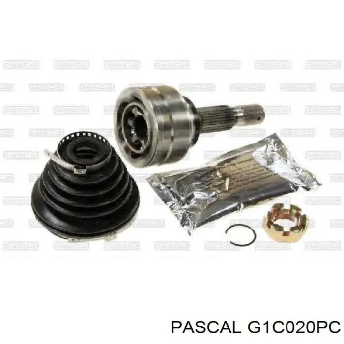 Купити G1C020PC Pascal Шарнір приводу зовнішній