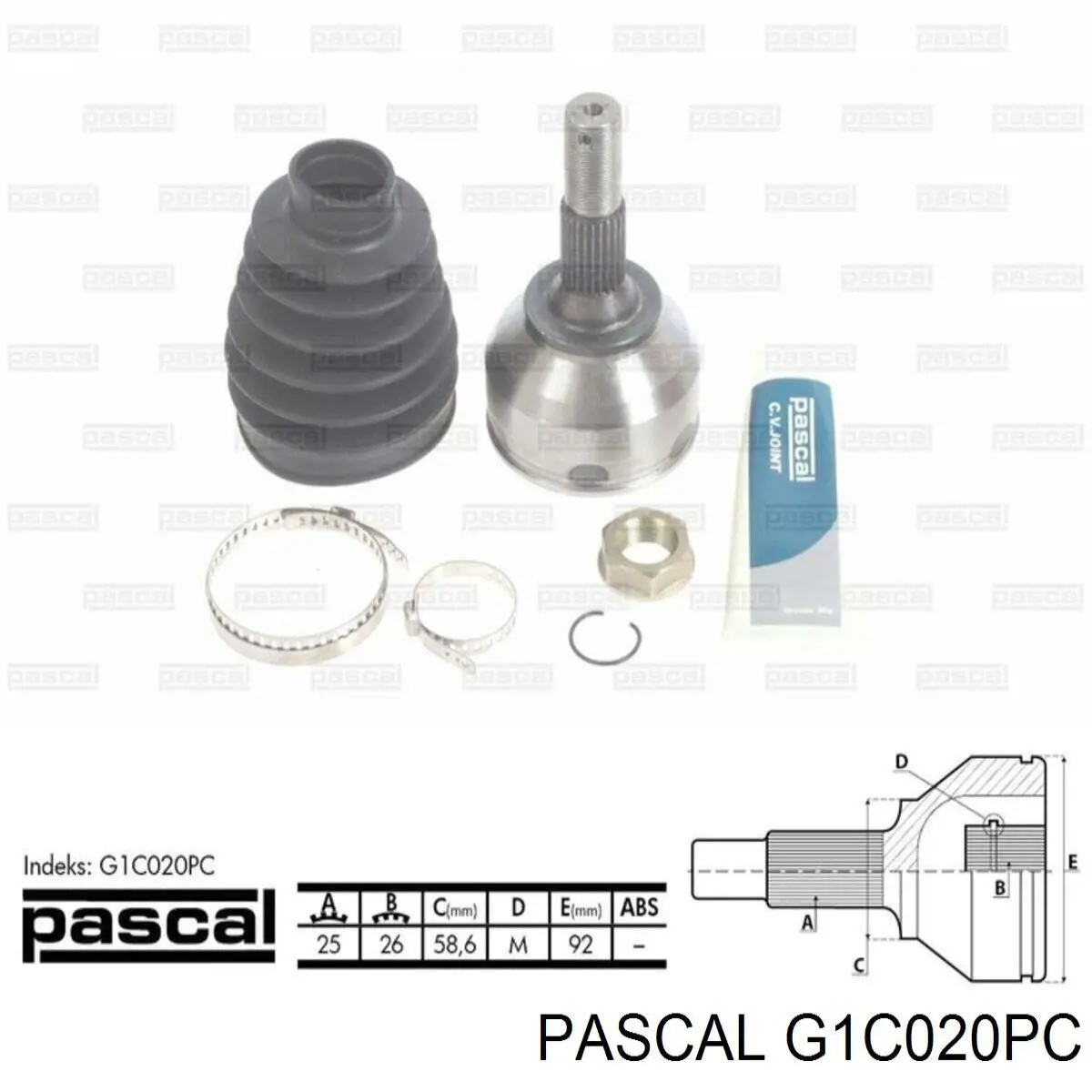 G1C020PC Pascal шрус зовнішній передній