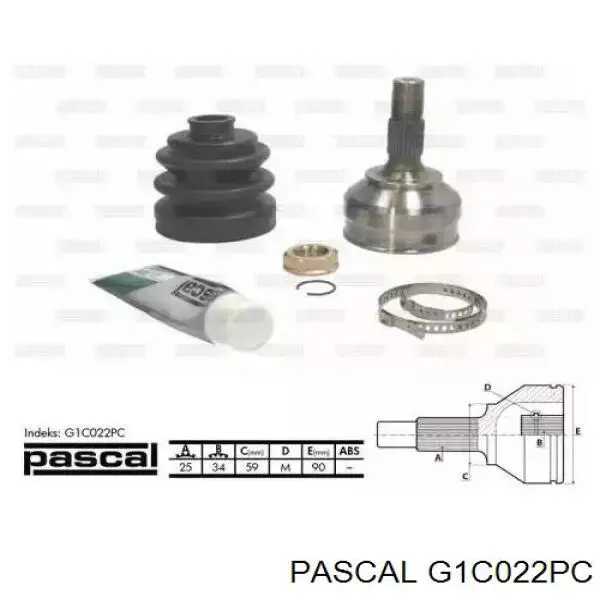 G1C022PC Pascal шрус зовнішній передній