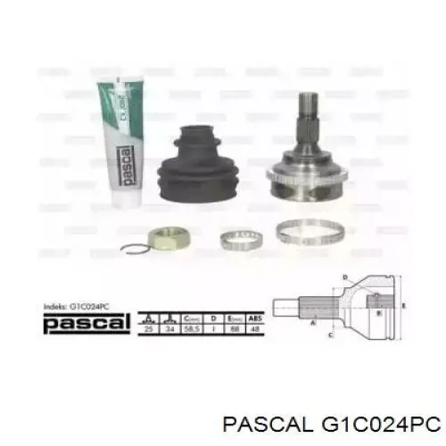 G1C024PC Pascal шрус зовнішній передній