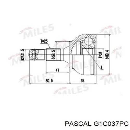 G1C037PC Pascal шрус зовнішній передній