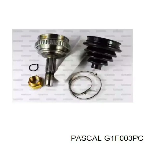G1F003PC Pascal шрус зовнішній передній