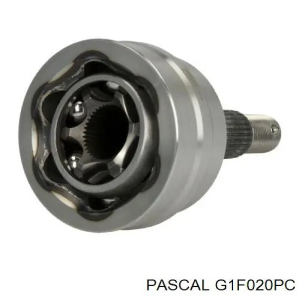 G1F020PC Pascal шрус зовнішній передній