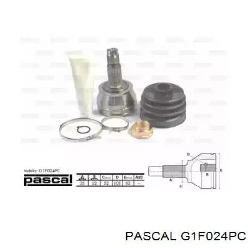 G1F024PC Pascal шрус зовнішній передній