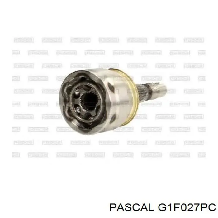 G1F027PC Pascal шрус зовнішній передній