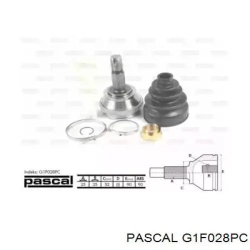 G1F028PC Pascal шрус зовнішній передній