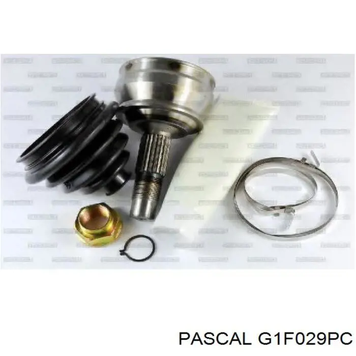 G1F029PC Pascal шрус зовнішній передній