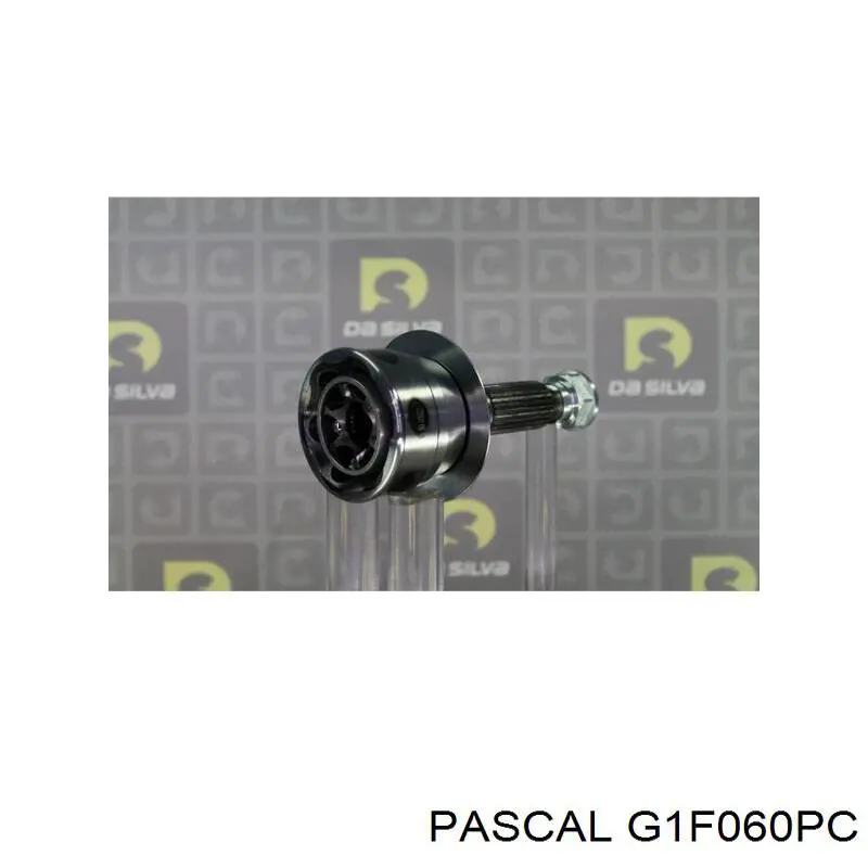 G1F060PC Pascal шрус зовнішній передній