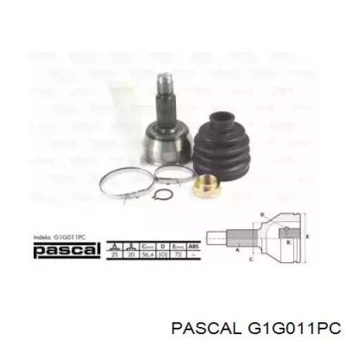 G1G011PC Pascal шрус зовнішній передній