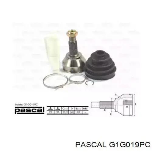 Купити G1G019PC Pascal Шарнір приводу зовнішній
