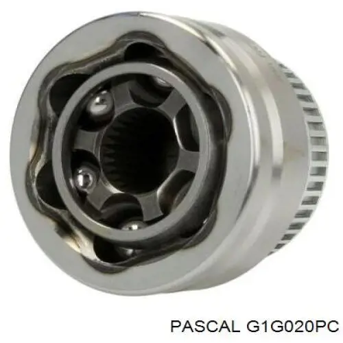 G1G020PC Pascal шрус зовнішній передній