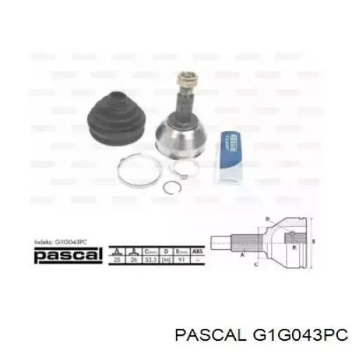 G1G043PC Pascal шрус зовнішній передній