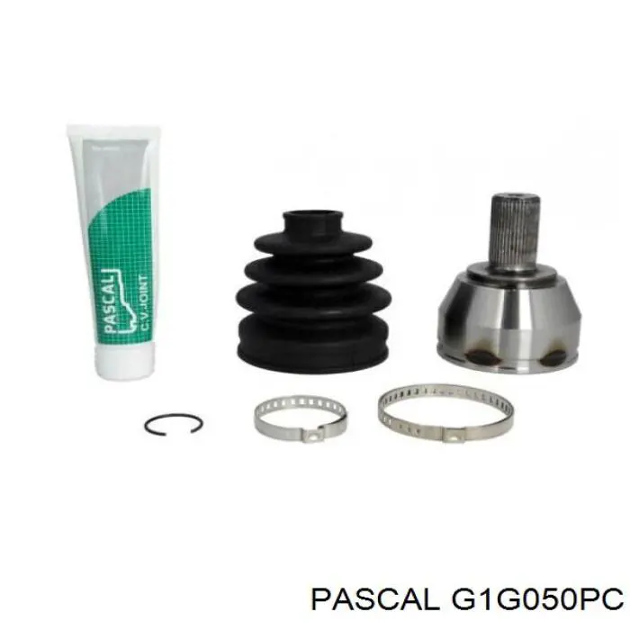 G1G050PC Pascal шрус зовнішній передній