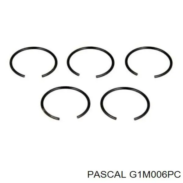G1M006PC Pascal шрус зовнішній передній