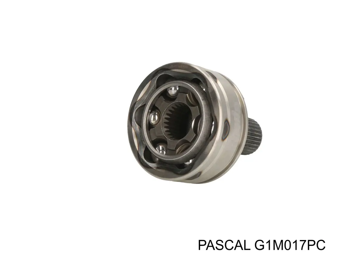 G1M017PC Pascal шрус зовнішній передній