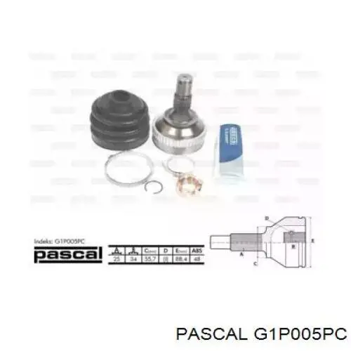G1P005PC Pascal шрус зовнішній передній