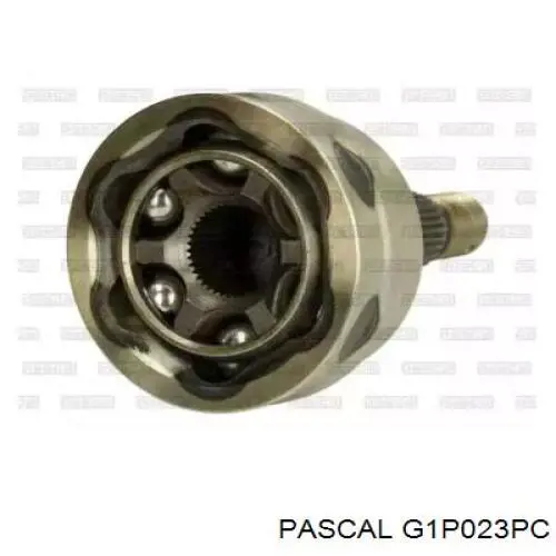 G1P023PC Pascal шрус зовнішній передній
