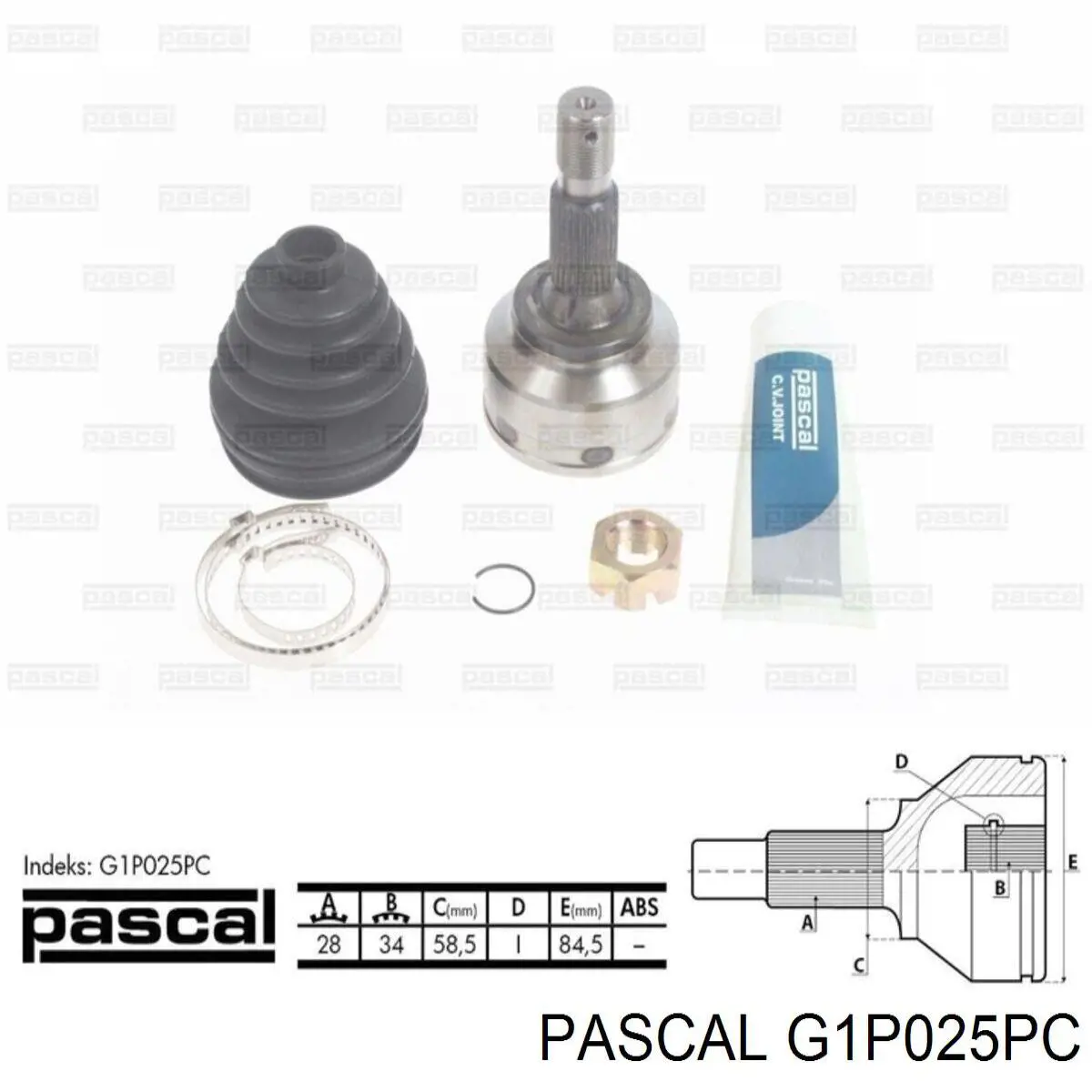 G1P025PC Pascal шрус зовнішній передній