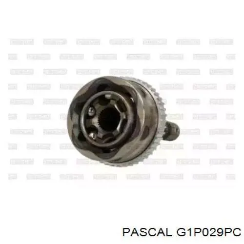 G1P029PC Pascal шрус зовнішній передній