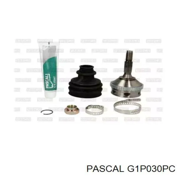  Pascal G1P030PC ціна, від 30.08 USD
