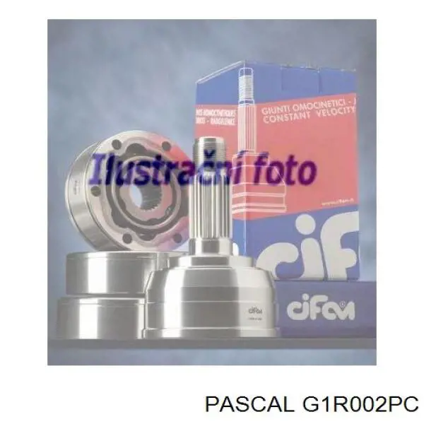 G1R002PC Pascal шрус зовнішній передній