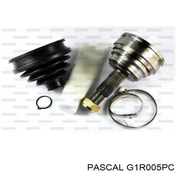 G1R005PC Pascal шрус зовнішній передній