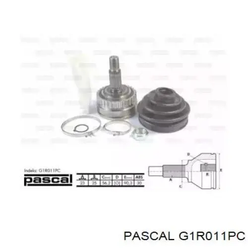 G1R011PC Pascal шрус зовнішній передній
