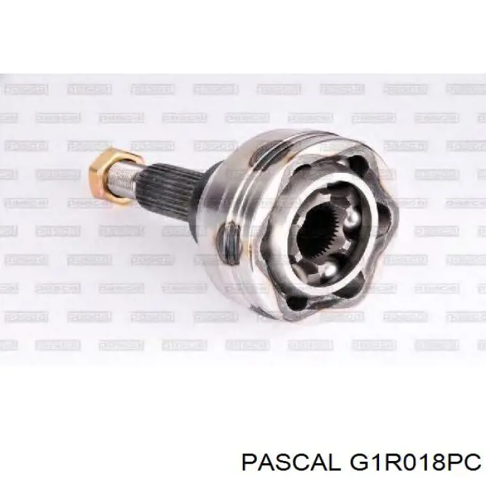Купити G1R018PC Pascal Шарнір приводу зовнішній
