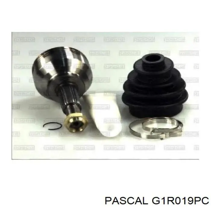 Купити G1R019PC Pascal Шарнір приводу зовнішній