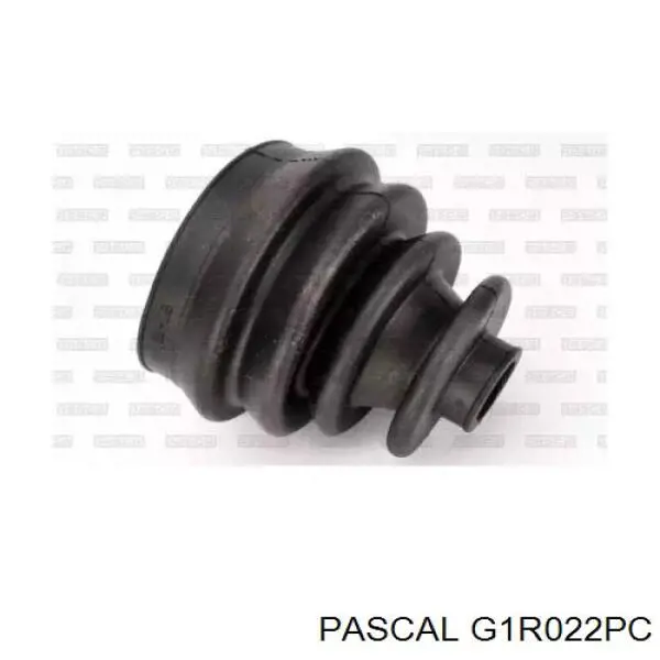 Купити G1R022PC Pascal Шарнір приводу зовнішній